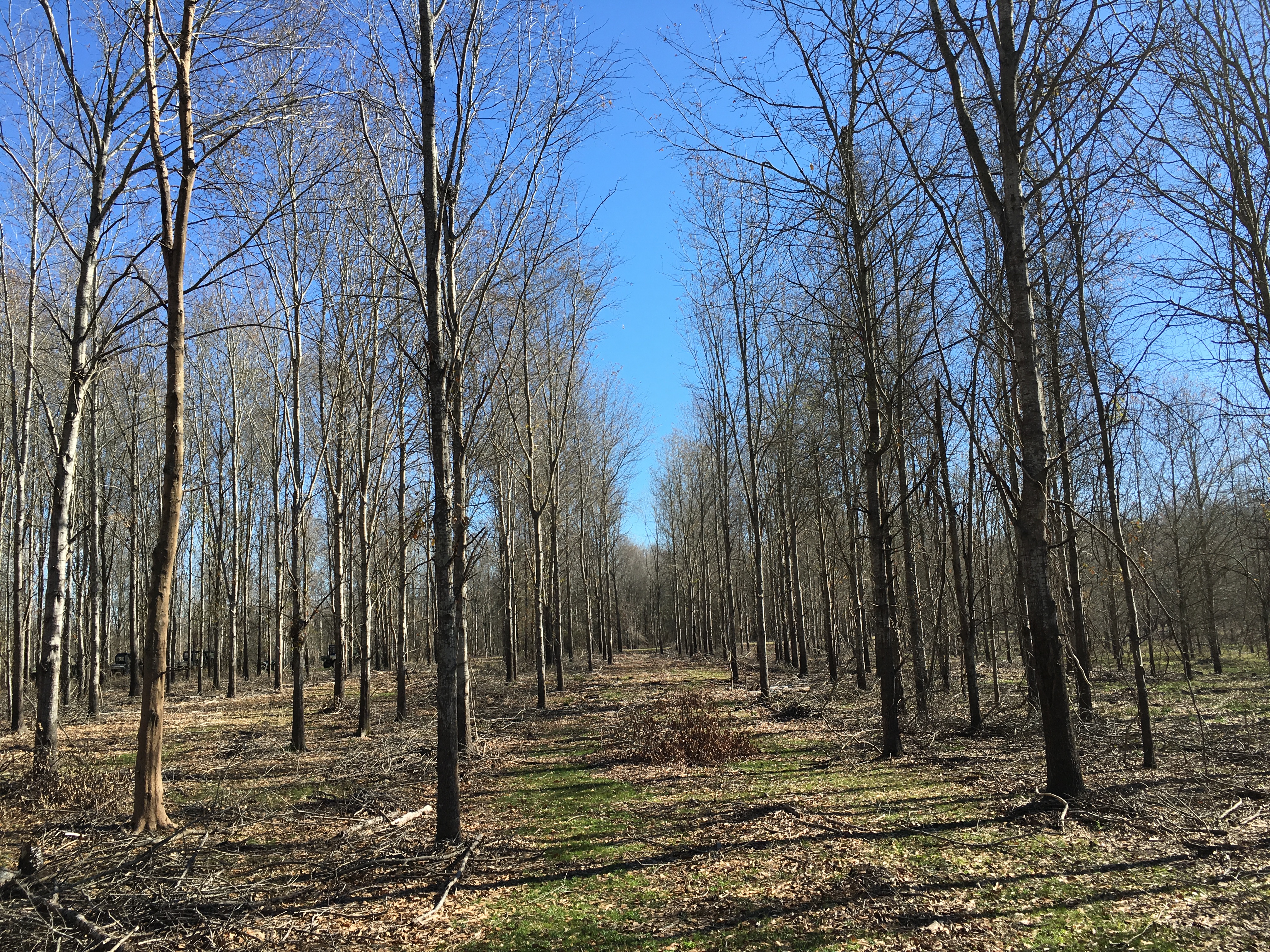 Conservation easement landowners’ willingness  to adopt forest management practices